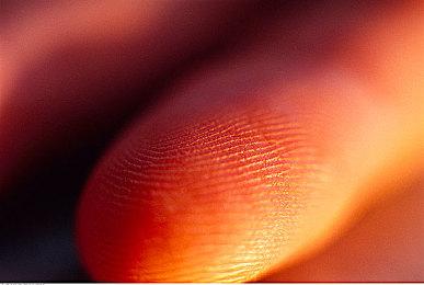 超可爱银河建设模拟！《泡泡星宇宙》正式公开